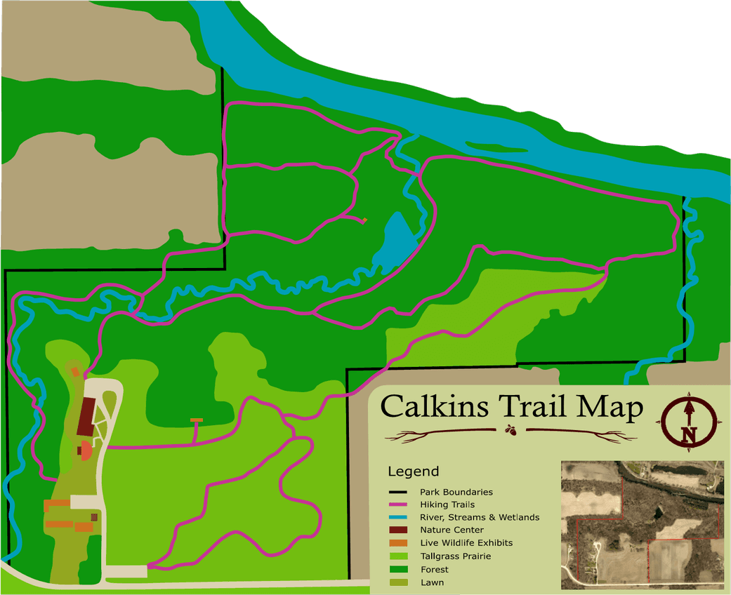 CalkinsNatureArea4.png