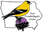 Birding_Resources_2598.png